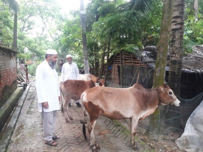 Madrasah Zeenatul Quran