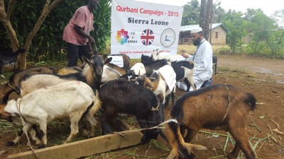 Madrasah Zeenatul Quran Qurbani Campaign (2015)