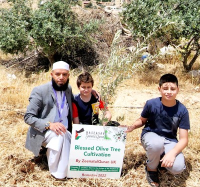 Madrasah Zeenatul Quran