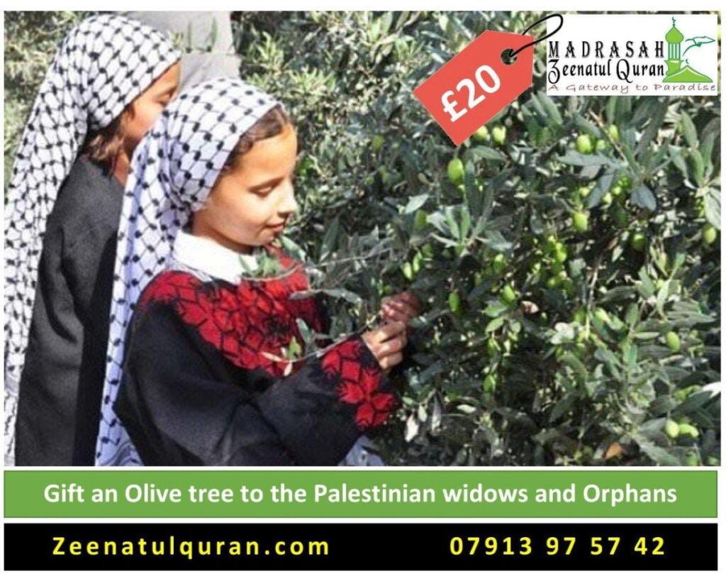 Gift Fruit Tree
